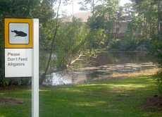 Do not feed the alligators.